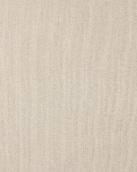 4204 Vanilla Stripe by  Charlotte Fabrics 
