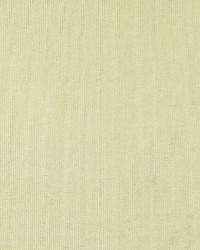 4206 Maize Stripe by  Charlotte Fabrics 