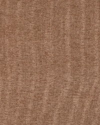 4211 Pecan Stripe by  Charlotte Fabrics 