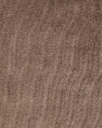 4231 Taupe by  Charlotte Fabrics 
