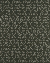 4322 Juniper Vine by  Charlotte Fabrics 