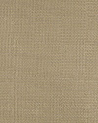 4343 Chambray by  Charlotte Fabrics 