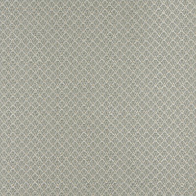Charlotte Fabrics 4357 Spring Shell Green cotton  Blend Fire Rated Fabric Heavy Duty CA 117 