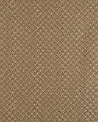 4359 Harvest Shell by  Charlotte Fabrics 