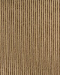 4372 Harvest Stripe by  Charlotte Fabrics 