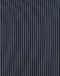 4373 Ocean Stripe by  Charlotte Fabrics 
