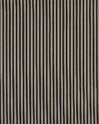 4376 Cobalt Stripe by  Charlotte Fabrics 