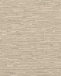 4417 Taupe by  Charlotte Fabrics 