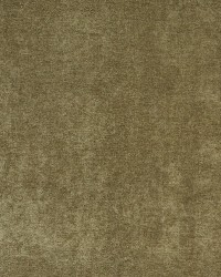 5151 Basil by  Charlotte Fabrics 