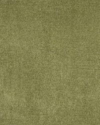 5159 Spring by  Charlotte Fabrics 