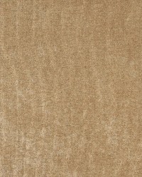 5162 Sandalwood by  Charlotte Fabrics 