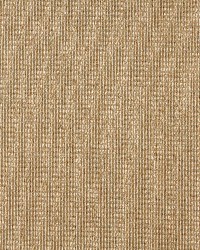 5172 Seagrass by  Charlotte Fabrics 