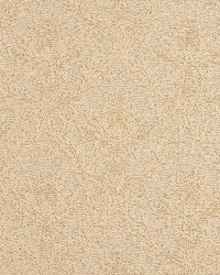 5543 Natural/Cameo by  Charlotte Fabrics 