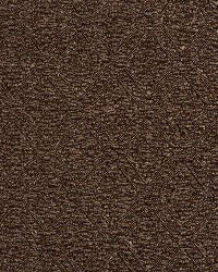 5570 Cocoa/Prism by  Charlotte Fabrics 