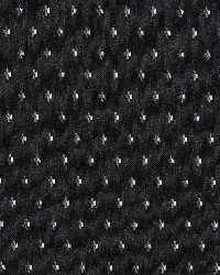 5835 Onyx Dot by  Charlotte Fabrics 