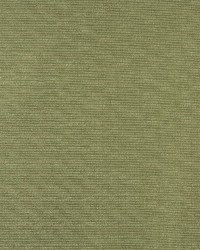 6618 Fern by  Charlotte Fabrics 