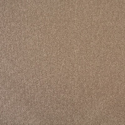 Charlotte Fabrics 6716 Acorn Brown Upholstery polyester  Blend Fire Rated Fabric
