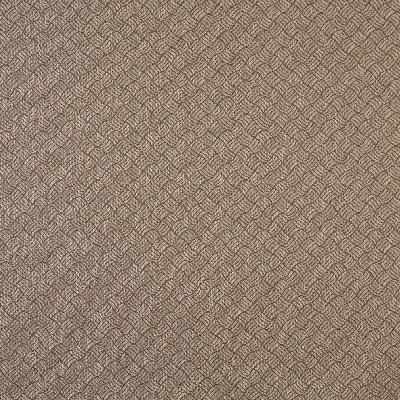 Charlotte Fabrics 6764 Acorn/Metro Brown Upholstery polyester  Blend Fire Rated Fabric