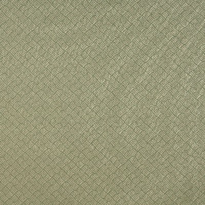 Charlotte Fabrics 6769 Ivy/Metro White Upholstery polyester  Blend Fire Rated Fabric