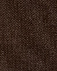 Charlotte Fabrics 6976 Chocolate Fabric