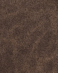7061 Walnut by  Charlotte Fabrics 