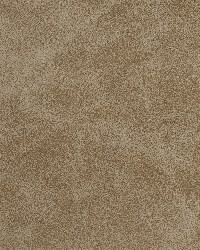 7062 Mushroom by  Charlotte Fabrics 