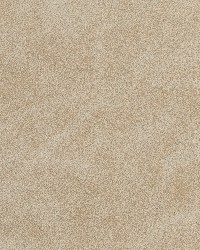 7063 Sand by  Charlotte Fabrics 