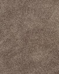 7065 Stone by  Charlotte Fabrics 