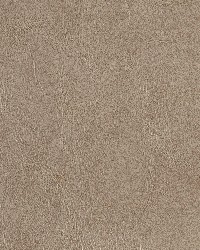 7068 Taupe by  Charlotte Fabrics 