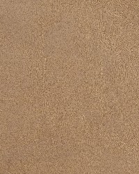 7071 Tan by  Charlotte Fabrics 