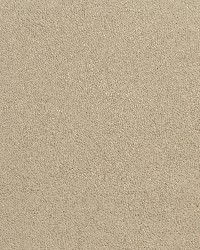 7076 Parchment by  Charlotte Fabrics 