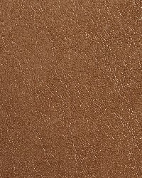7079 Caramel by  Charlotte Fabrics 