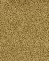 7170 Wheat by  Charlotte Fabrics 