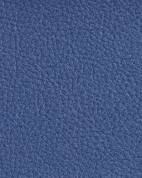 7172 Wedgewood by  Charlotte Fabrics 