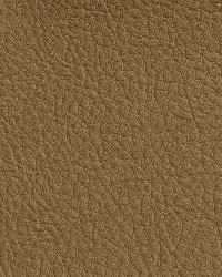 7173 Palomino by  Charlotte Fabrics 