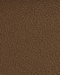7174 Brown by  Charlotte Fabrics 