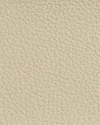 7175 Ivory by  Charlotte Fabrics 