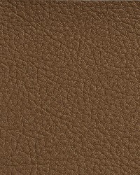 7176 Rawhide by  Charlotte Fabrics 