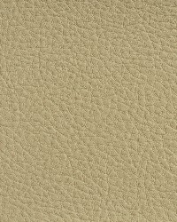 7177 Cream by  Charlotte Fabrics 