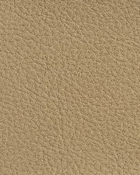 7179 Sand by  Charlotte Fabrics 