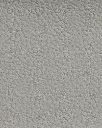 7183 Sterling by  Charlotte Fabrics 