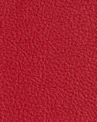 7184 Poppy by  Charlotte Fabrics 