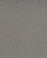 7185 Pewter by  Charlotte Fabrics 