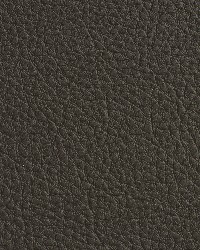 7186 Espresso by  Charlotte Fabrics 