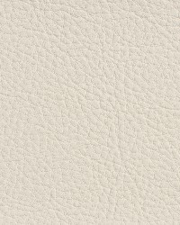 7190 Natural by  Charlotte Fabrics 