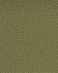 7191 Sage by  Charlotte Fabrics 