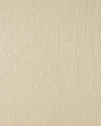 7378 Vanilla by  Charlotte Fabrics 