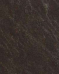 7405 Chestnut by  Charlotte Fabrics 