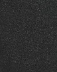 7407 Coal by  Charlotte Fabrics 