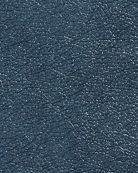 7431 Teal by  Charlotte Fabrics 